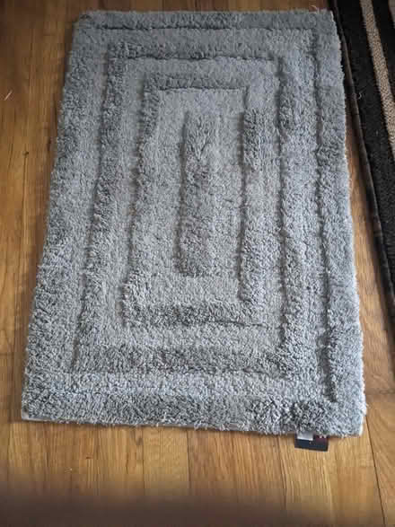 Photo of free grey mat (Tingley Beach) #1