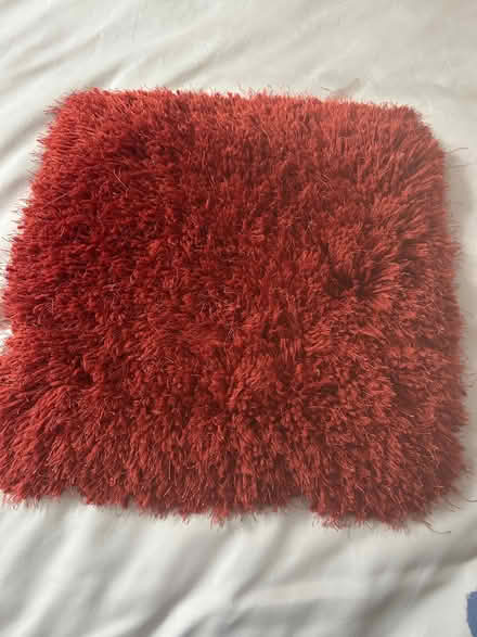 Photo of free Burnt orange cushion covers (Cold Harbour OX1) #1