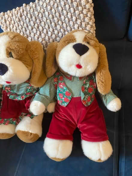 Photo of free 1980s teddys (Hampton TW12) #3