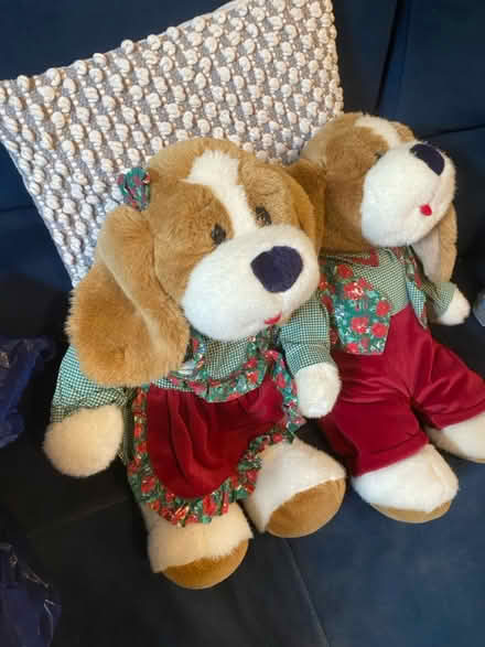 Photo of free 1980s teddys (Hampton TW12) #2