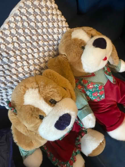 Photo of free 1980s teddys (Hampton TW12) #4