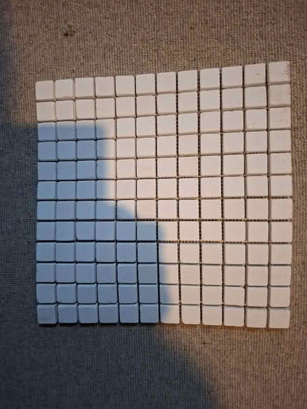 Photo of free Limestone Tiles (Bishop's Castle SY9) #1