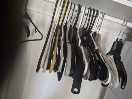 Photo of free hangers (Tingley Beach) #1