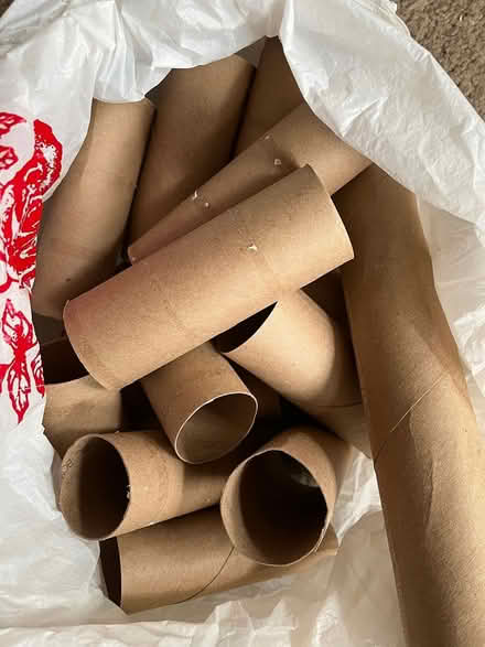 Photo of free paper towel + tp tubes (Sun Valley) #1