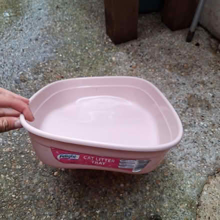 Photo of free Kitten litter tray (Witham CM8) #2