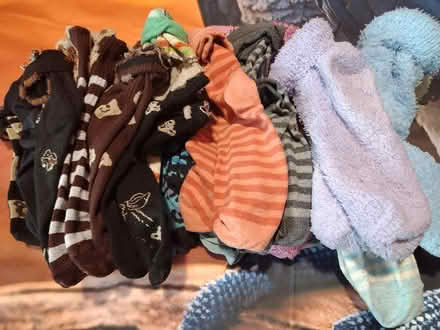 Photo of free Ladies/girls Socks (Porthill ST5 8) #2