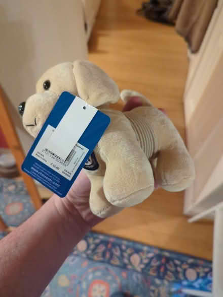 Photo of free Chelsea plush (Finchley NW11) #2