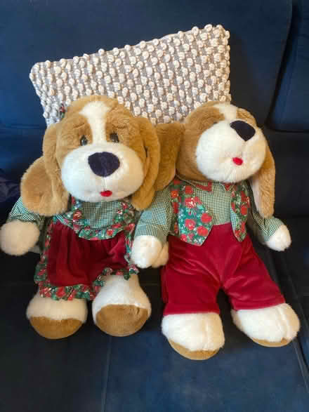 Photo of free 1980s teddys (Hampton TW12) #1