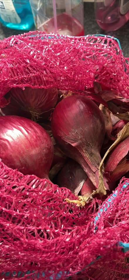 Photo of free Large red onions (Bracknell’s RG42) #1