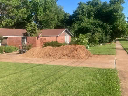 Photo of free wood chips (Creve Couer) #1