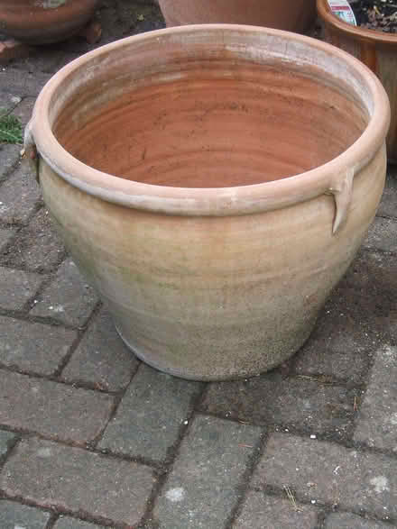 Photo of free Garden Planter (Molesey KT8) #2