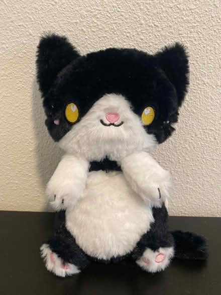 Photo of free Tuxedo Cat Heating Pad (Richmond) #1