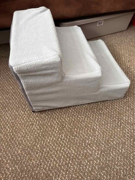 Photo of free Steps for cat or small dog (Dogsthorpe) #3
