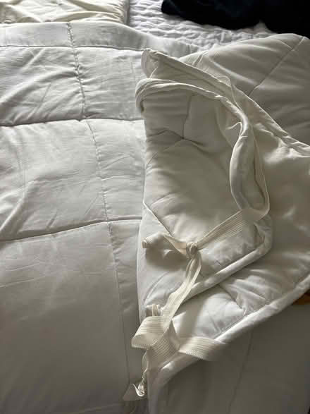 Photo of free Mattress topper (Winfrith DT2) #2