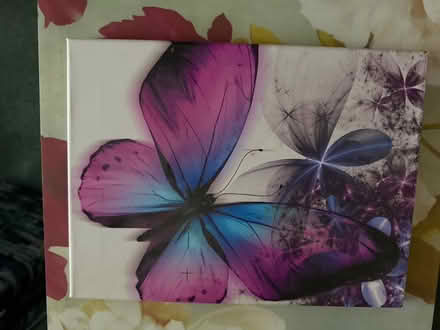 Photo of free 2 canvas (Girlington BD8) #2