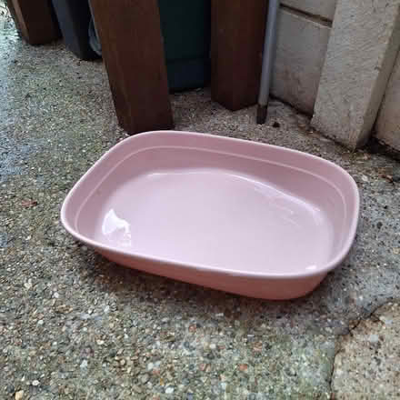 Photo of free Kitten litter tray (Witham CM8) #1