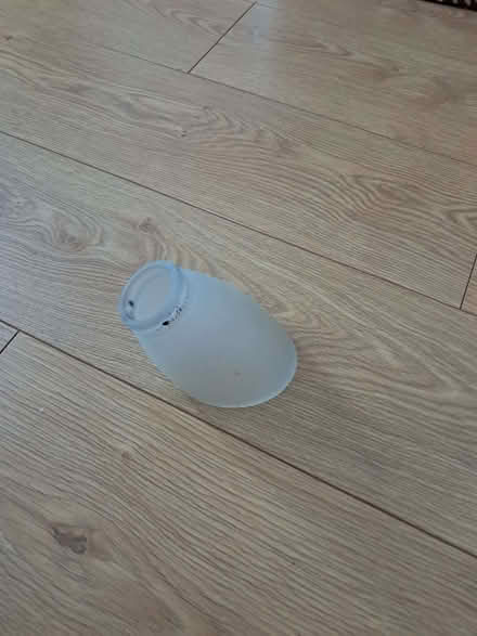 Photo of Light shade (East Ham E6) #1