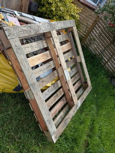 Photo of free Large pallet (Earwig Corner BN7) #1
