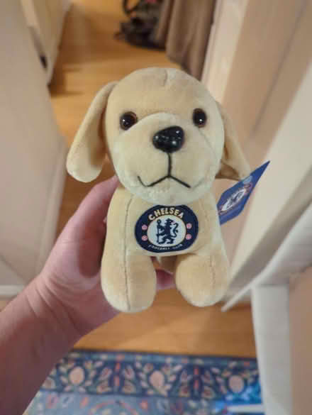 Photo of free Chelsea plush (Finchley NW11) #1