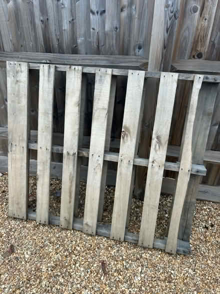Photo of free Pallet (Withyham TN7) #1