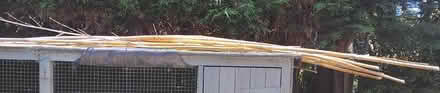 Photo of free Bamboo Root (Heage DE56) #2
