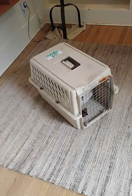 Photo of free Pet Carrier (Wallingford (Good Shepherd)) #1