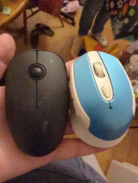 Photo of free 2 mouse (Finchley NW11) #1