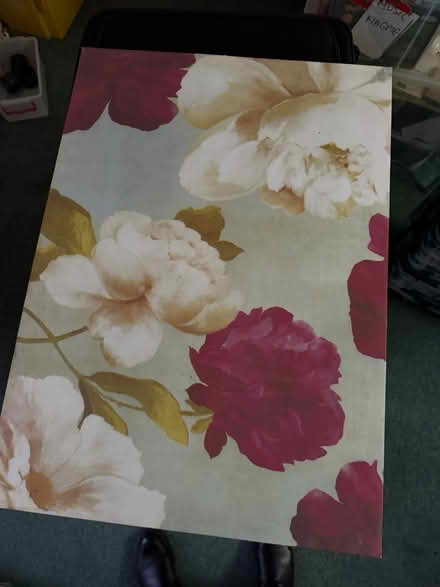 Photo of free 2 canvas (Girlington BD8) #1