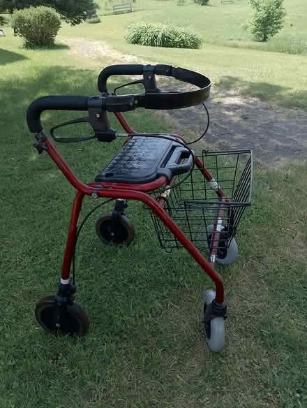 Photo of free Walker With Basket (South-End Guelph) #1
