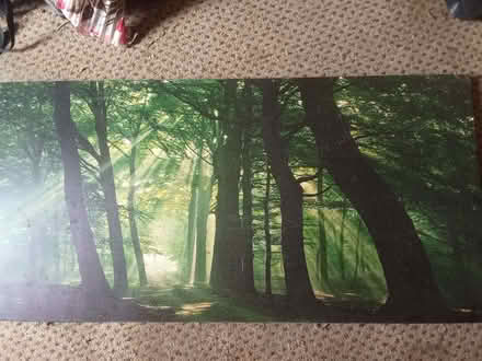 Photo of free Small suitcase, a yoga mat and a large canvas (Rochdale OL11) #4
