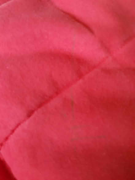 Photo of free Red IKEA Poang Chair Cover (BA1) #3