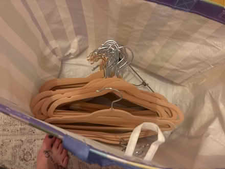 Photo of free Bag of velvet hangers (Wood Green N22) #1