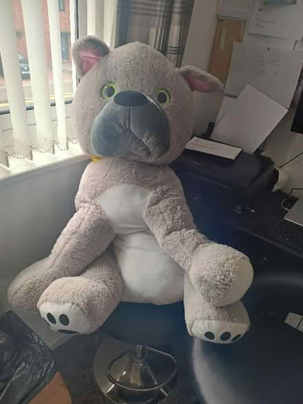 Photo of free Soft Toy (Tutbury DE13) #2