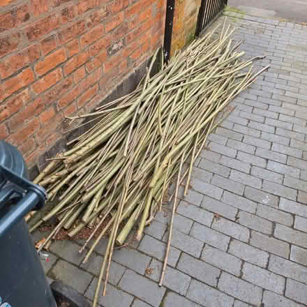 Photo of free 6-8' lengths of willow, suitable for garden projects (Cherry Orchard SY2) #1