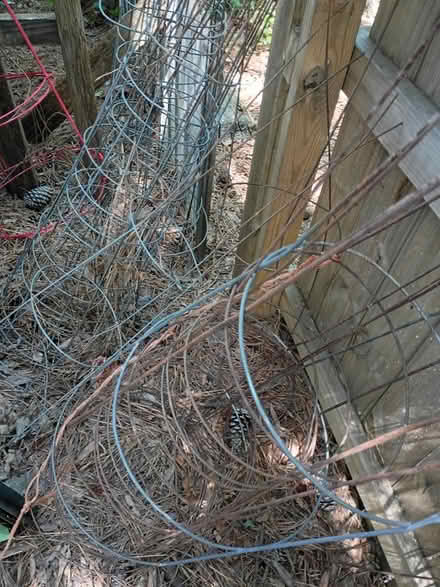 Photo of free Tomato cages (near ODU) #1