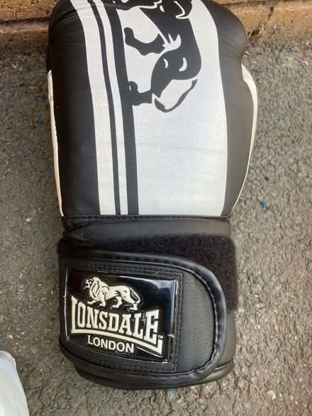 Photo of free Boxing gloves and sparring pads (Whickham NE16) #3