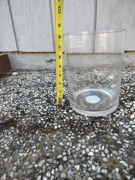 Photo of free glass vase (downtown novato) #1