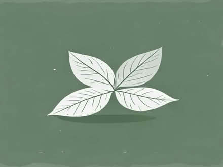 Photo of free Bay leaves (Bieldside AB15) #1