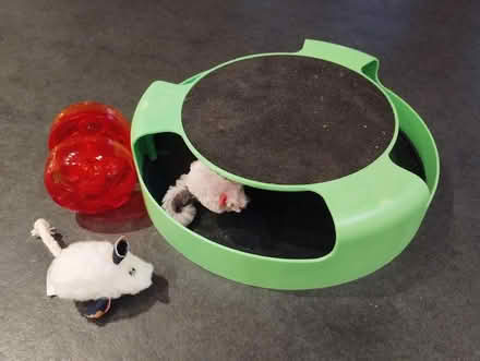 Photo of free Cat toys (Kingscourt/Lightpill, Stroud) #1
