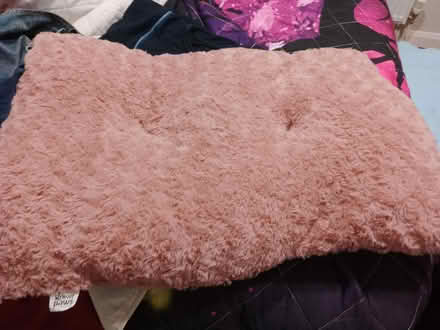Photo of free Pet bed (Clacton-on-Sea CO15) #1