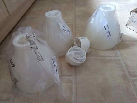 Photo of free Light shade & fitting (3) (Upper Radley OX14) #1