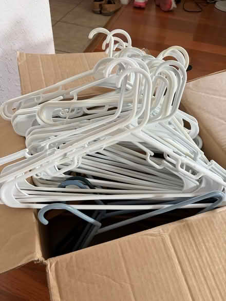Photo of free Hangers (45th Ave N & 5th St N) #1