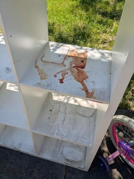 Photo of free White cube shelf (Newport KY) #3