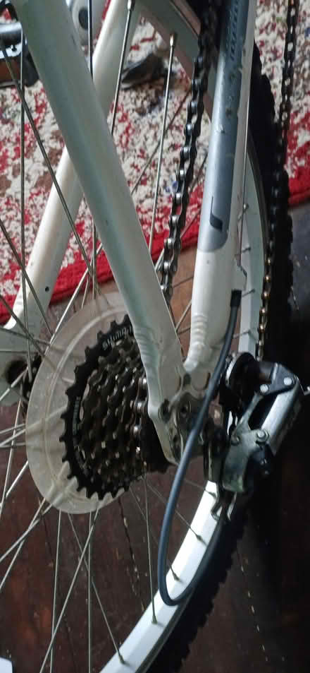 Photo of free Junior Mountain Bike (Ridgeback Destiny). (Morland CA10) #4