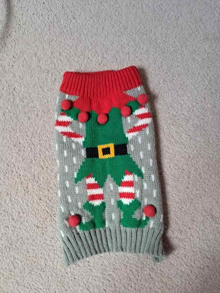 Photo of free Small dog / cat Xmas jumper (Westhampnett) #1