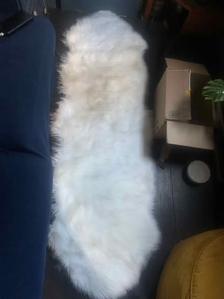 Photo of free Rug (E8 4pt) #1
