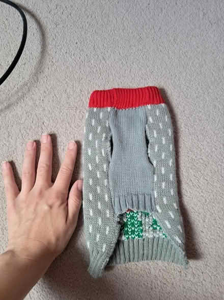 Photo of free Small dog / cat Xmas jumper (Westhampnett) #2