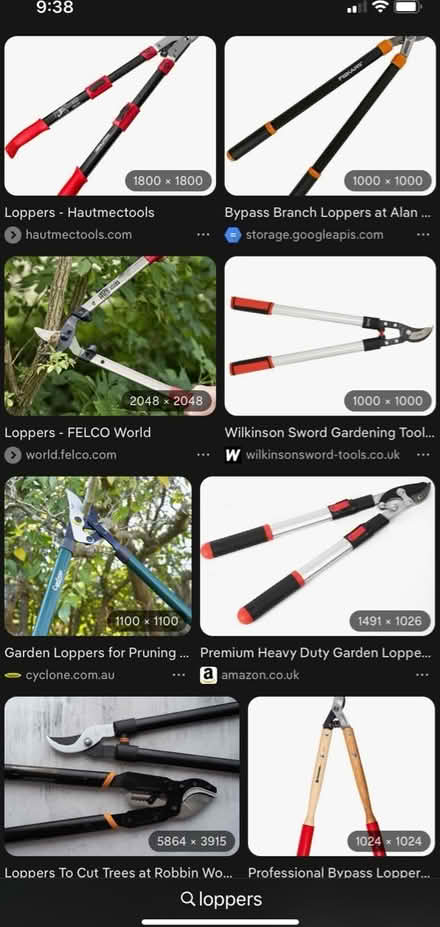 Photo of Loppers (Maple Leaf) #1