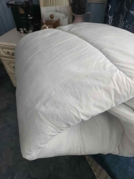 Photo of free Double Duvet (Turnpike lane N15) #1