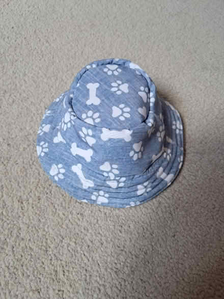 Photo of free Small dog / cat hat (Westhampnett) #1